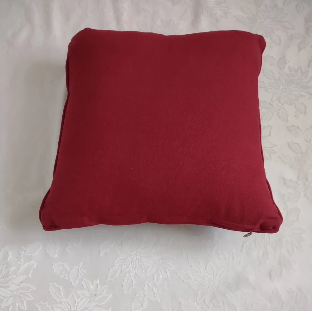 Pier 1 Embroidered Decorative Pillow